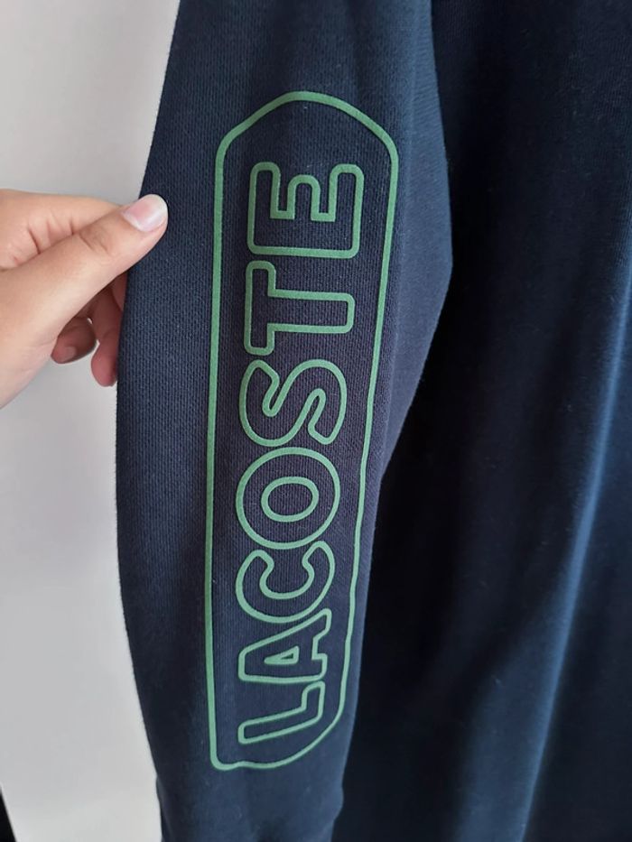 Robe pull Lacoste - photo numéro 3