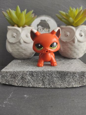 Littlest Petshop LPS Pet Shop chat main coon 2491 cat maincoon #geektradelpschat