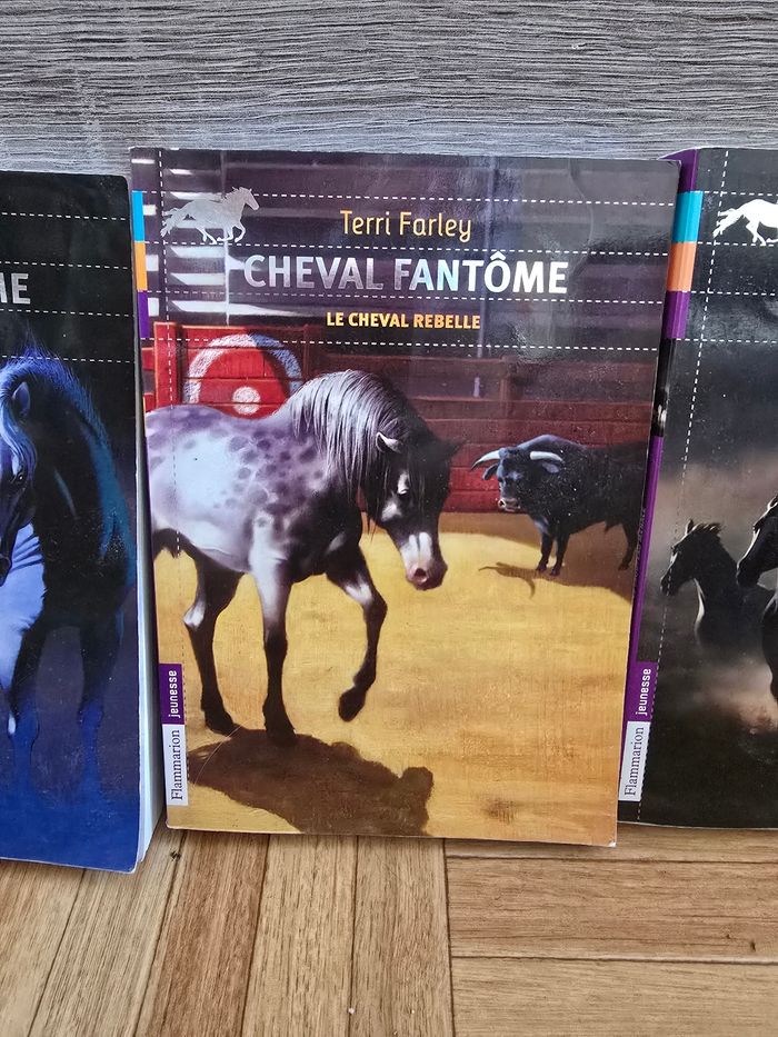 Livre "Cheval fantôme" - photo numéro 3