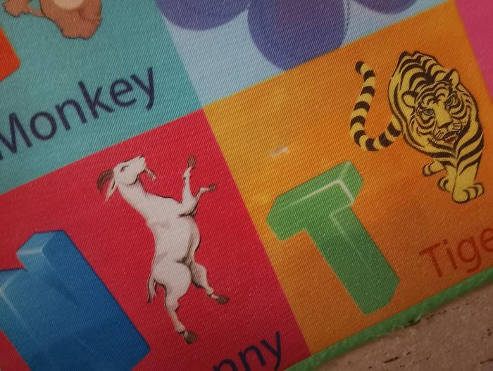 Tapis de jeu - photo numéro 5
