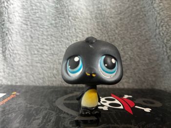 PetShop pingouin 