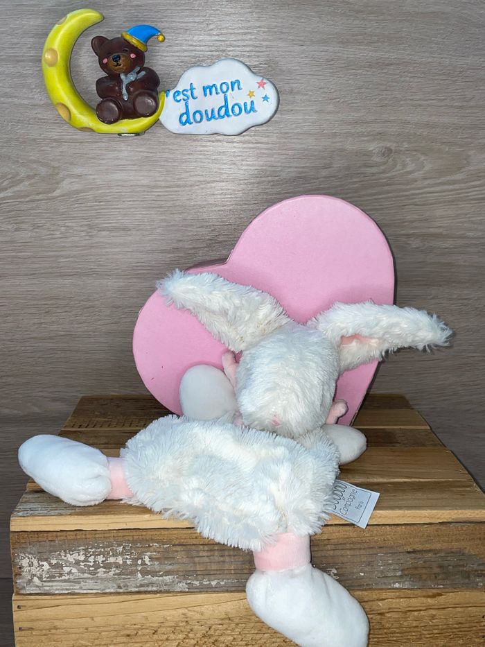 DDC29 doudou et compagnie lapin 🐰