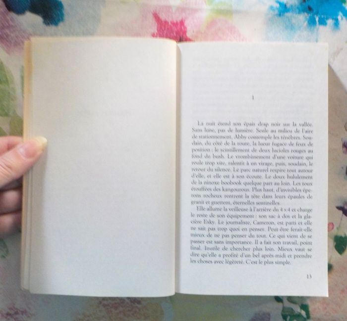 LE MURMURE DU VENT de Karen VIGGERS Ed. Le Livre de Poche - photo numéro 6