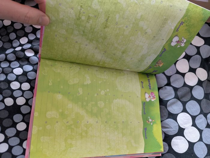 Cahier de texte diddl - photo numéro 3