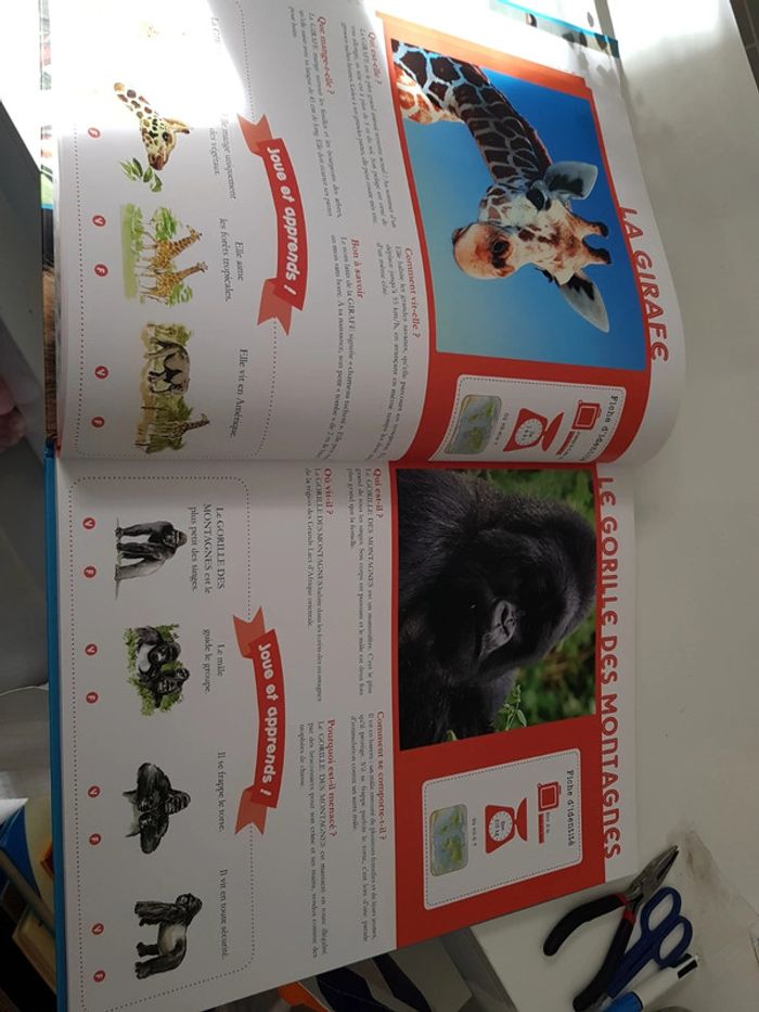 Mon très grand animalier du monde - photo numéro 4