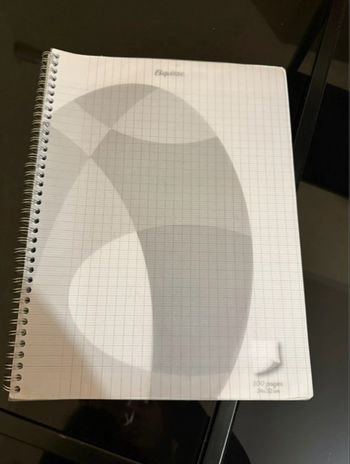 Lot de 4 cahiers à spirales 24x32 100 pages