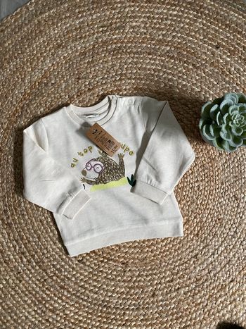 Pull/ Sweat 23 mois