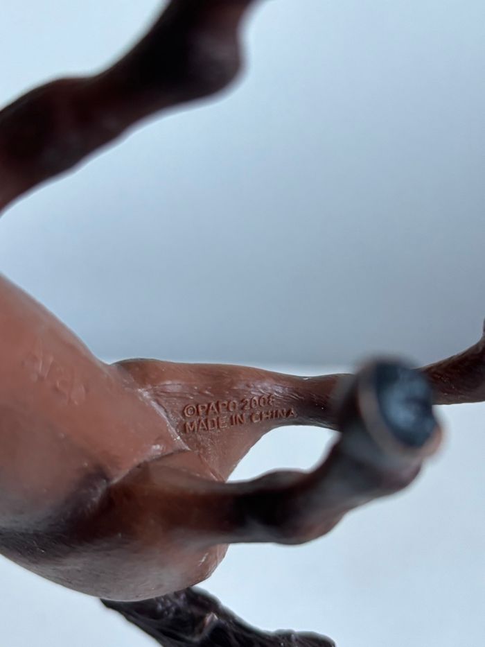 Jument papo - photo numéro 5