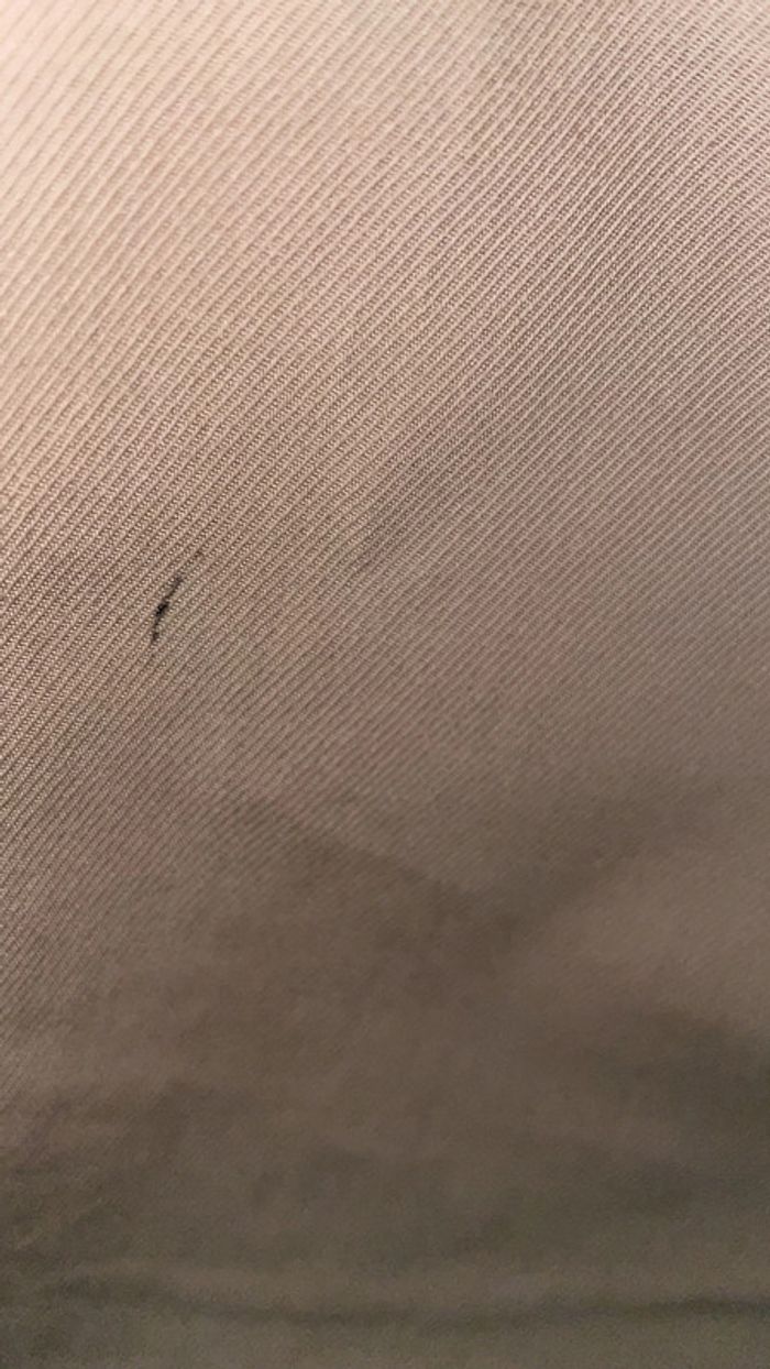Pantalon Burberry - photo numéro 4