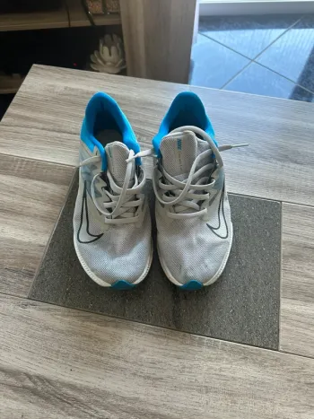 Baskets Nike sport 42