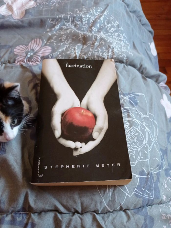 Grand roman de Stephenie Meyer