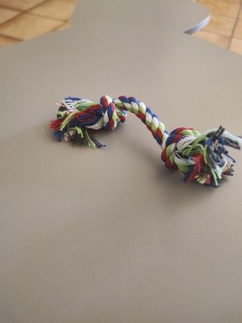 Jouet corde pour chien – 16 cm – Neuf & costaud !🪢