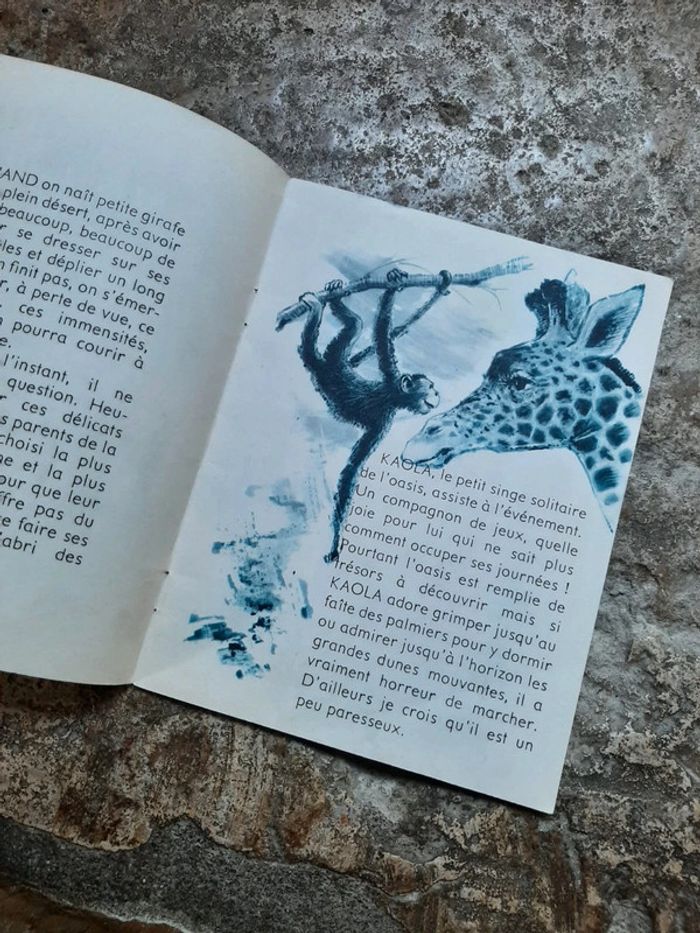 Le Girafeau et le petit singe - photo numéro 3