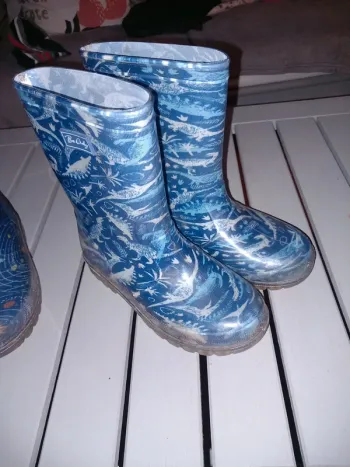 Bottes lumineuses
