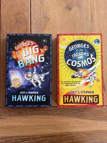 Lot 2 livres série Georges Hawking