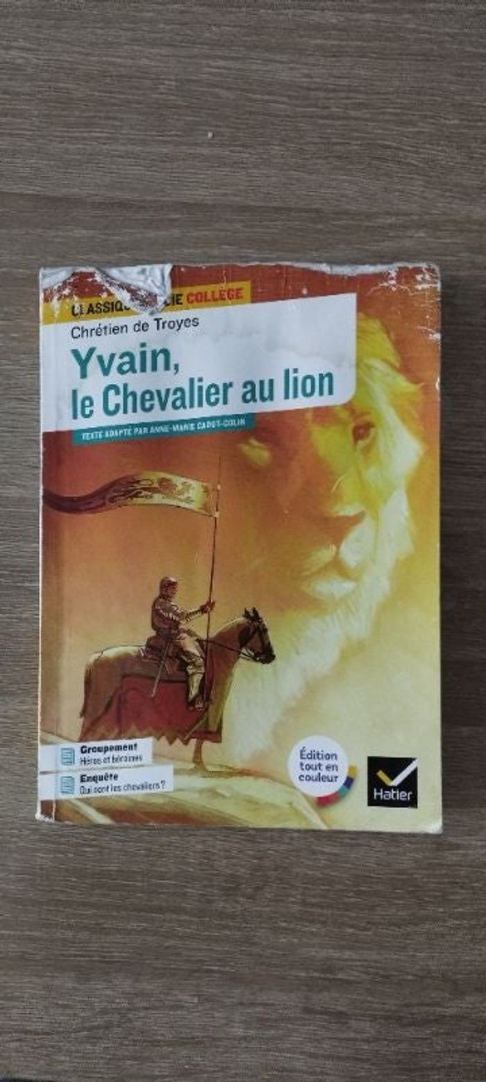 Yvain le chevalier au lion đŠ