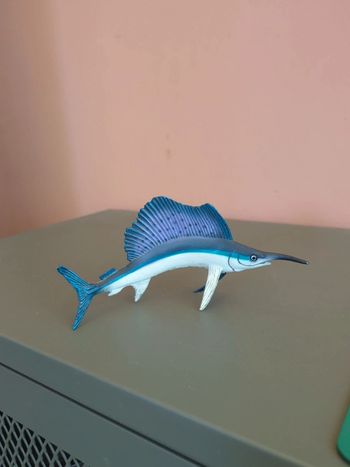 Poisson Safari