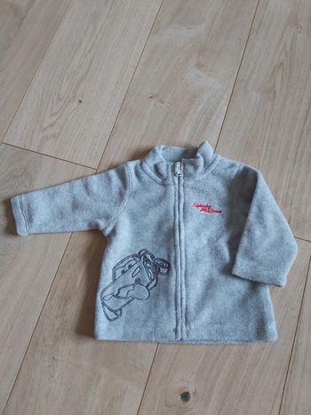Gilet/polaire zippé garçon Disney 6 mois (78)
