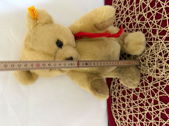 Ours en peluche - Steiff Allemagne de l'Ouest, Vintage - photo numéro 5