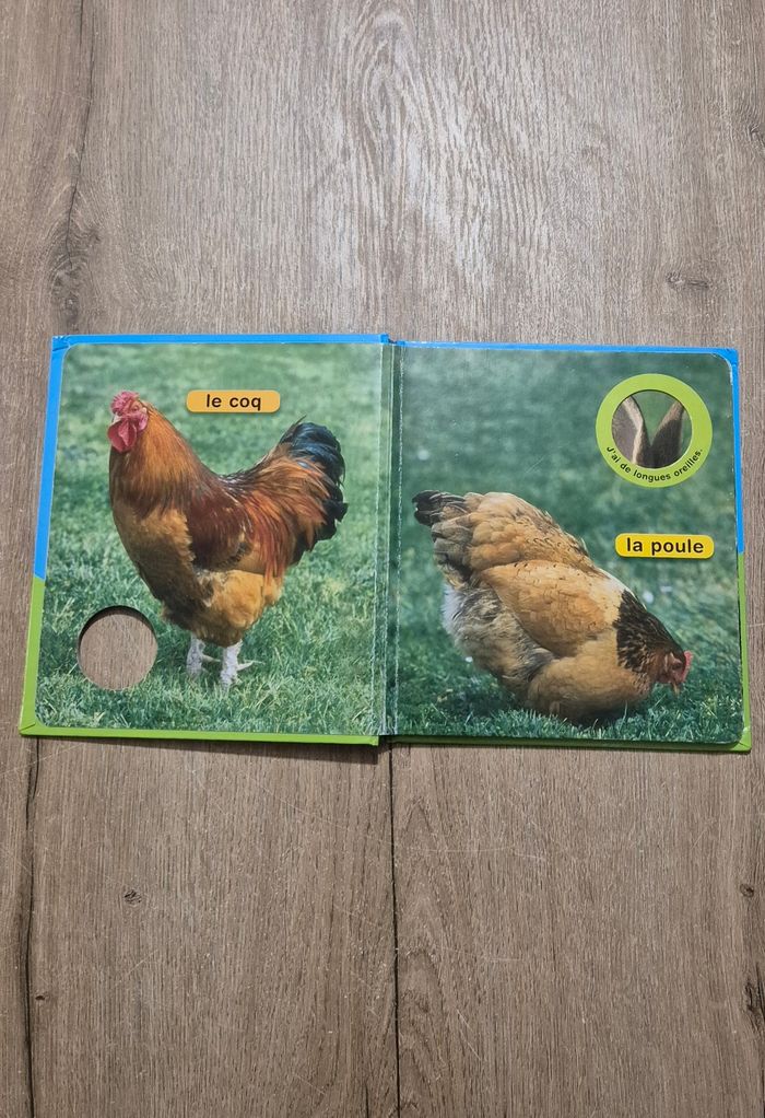 Livre Coucou la poule - photo numéro 2