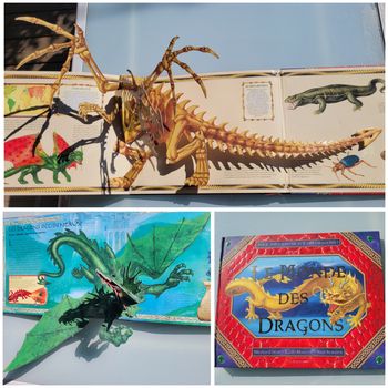 Éditions Deux coqs d'or, superbe livre pop-up 🐲 Le monde des dragons🐉