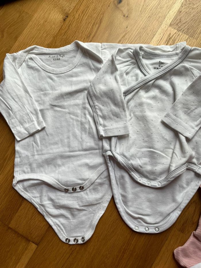 Lot body