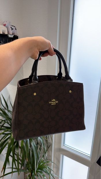 sac a main marron cosch