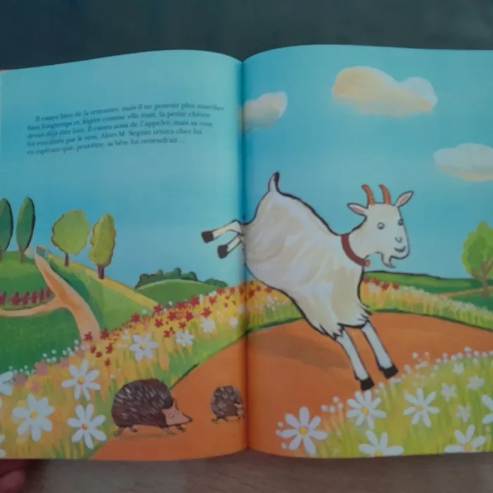 Gros livre Raconte moi une histoire - photo numéro 5