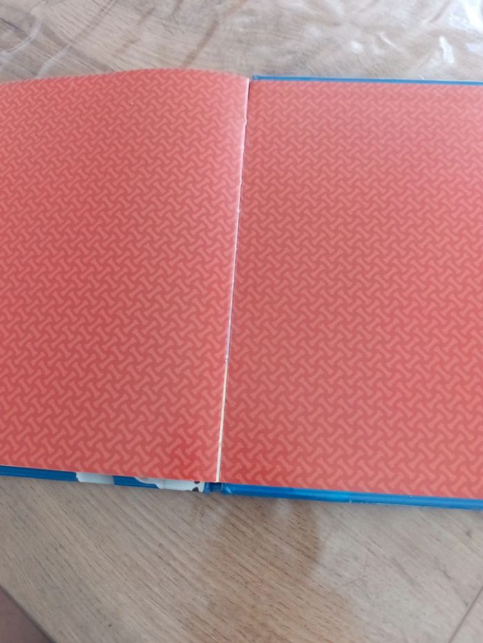 Livre paw patrol - photo numéro 4