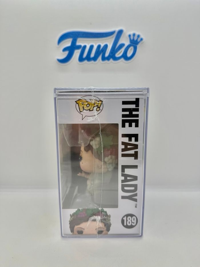 Funko Pop Harry Potter The Fat Lady 189 Chase 583 Pcs - photo numéro 2