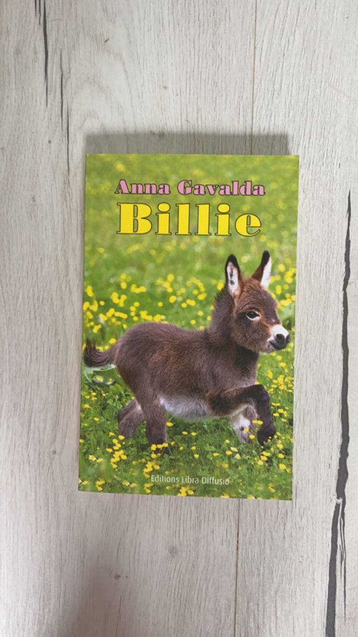 Livre Billie de Anna Gavalda