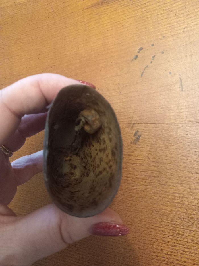 Cloche - photo numéro 3