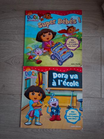 Lot de 2 livres Dora en très bon état 