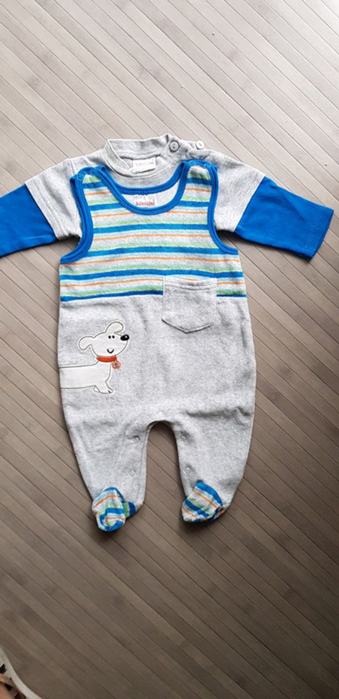 Grenouillère - photo numéro 2