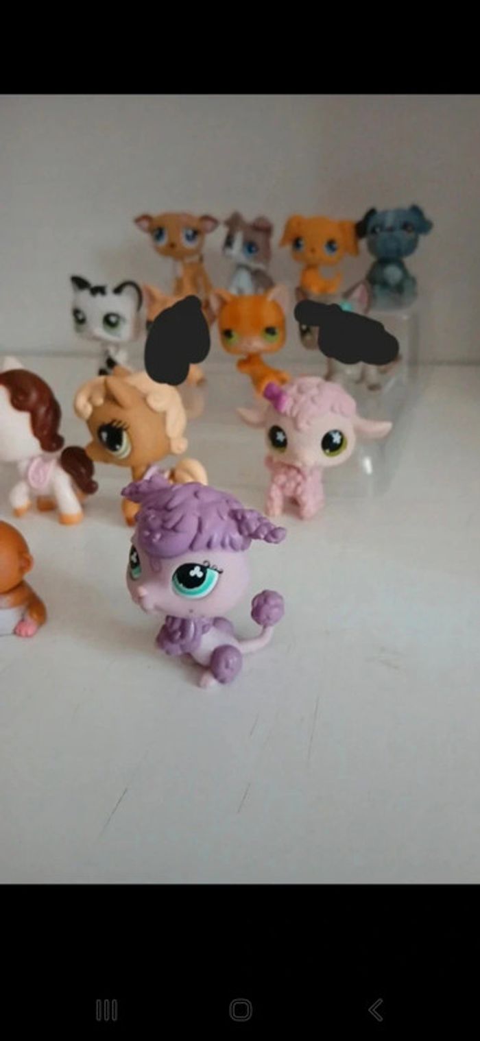 Littest petshop - photo numéro 2