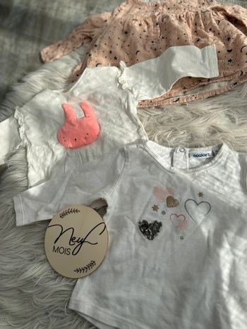 Lot de tee shirt bébé fille