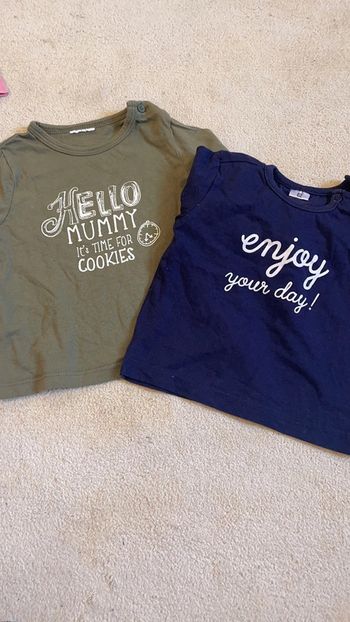 Lot de 2 ter d’Huet