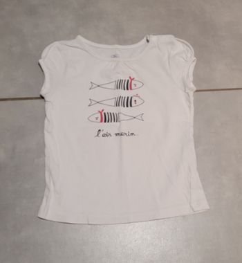 T-shirt MC 36 mois