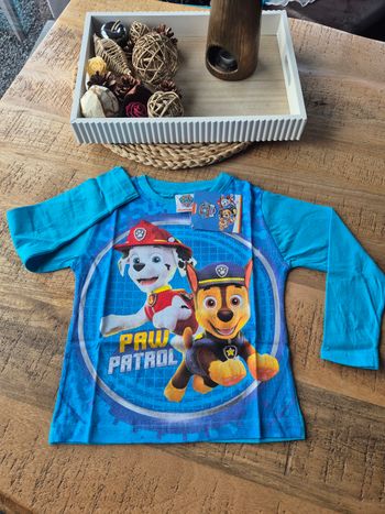 Tee-shirt Pat Patrouille Bleu Clair Garçon 2 ans
