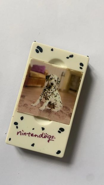 boîte de rangement ds Nintendogs