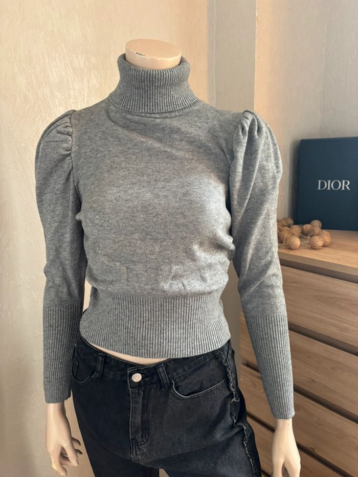 Col roulé gris - photo numéro 2