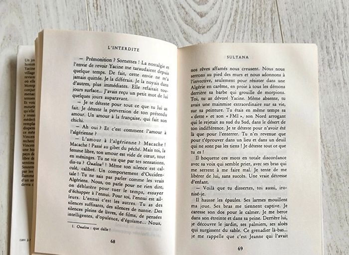 Livre L'interdite - photo numéro 3