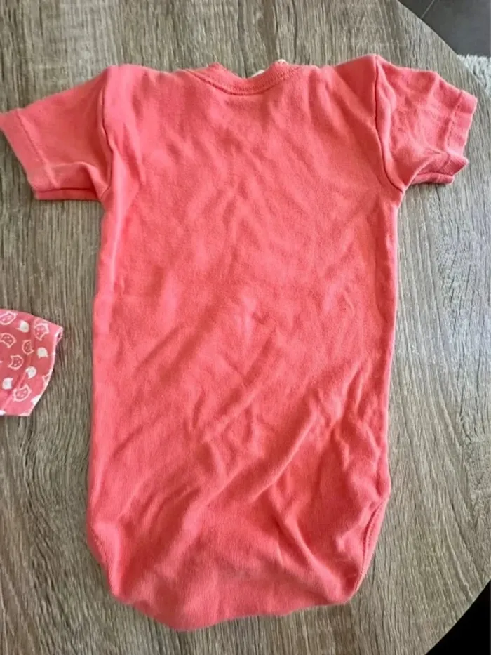 Lot 2 bodies fille manche courte 12 mois - photo numéro 7