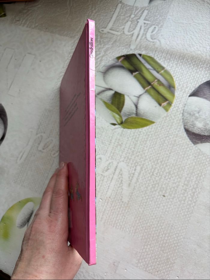 Livre Disney - photo numéro 6