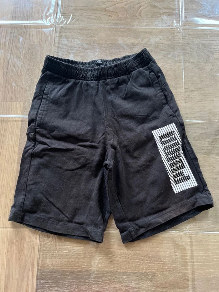 Short puma