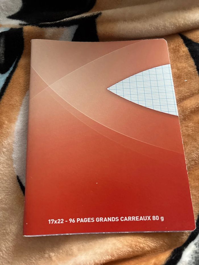 Lot cahier - photo numéro 5