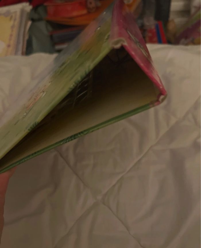 Classeur Diddl avec 104 feuilles 🩵🐭 - photo numéro 3