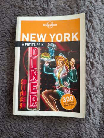 Guide New York à petits prix en bon état