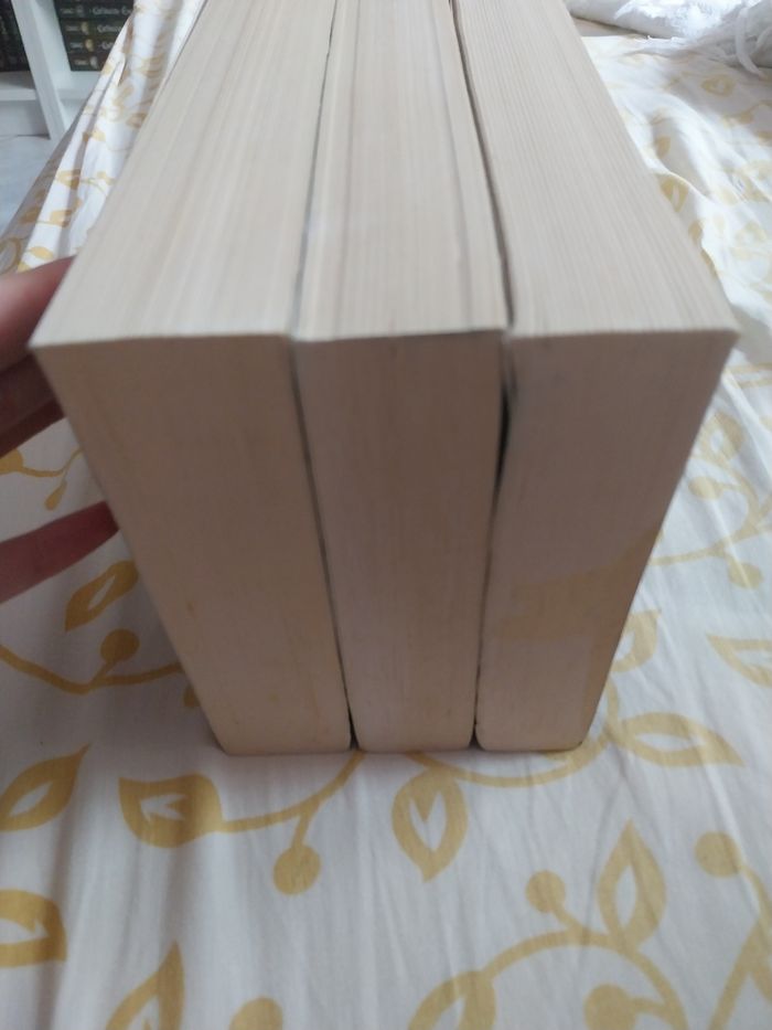 Romans Trilogie complète Angelfall tomes 1 à 3 L'Ultime Espoir Susan Ee - photo numéro 4