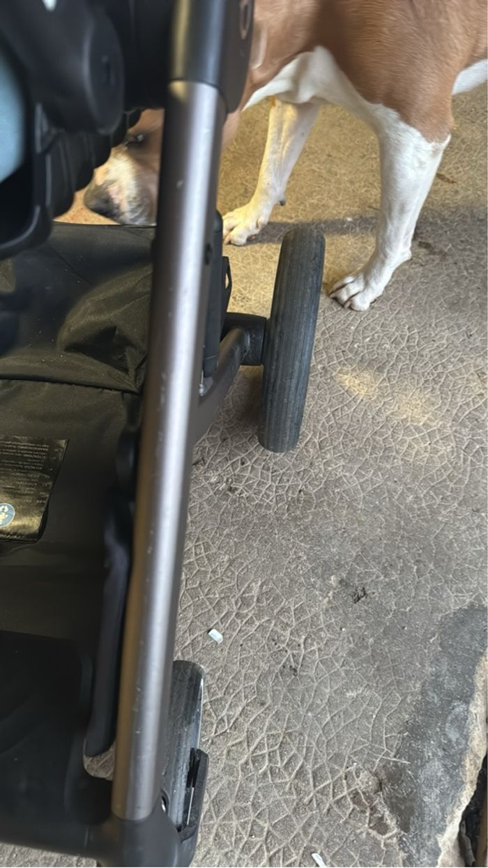 Poussette cybex - photo numéro 8